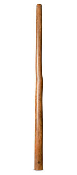 Wix Stix Opal Didgeridoo (WS213)